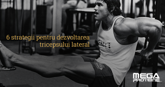 6 strategii pentru dezvoltarea tricepsului lateral