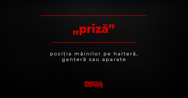 Ce inseamna „priza” | Definitie „priza” | Dictionar de culturism