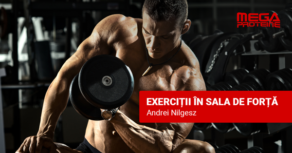 Exercitii in sala de forta