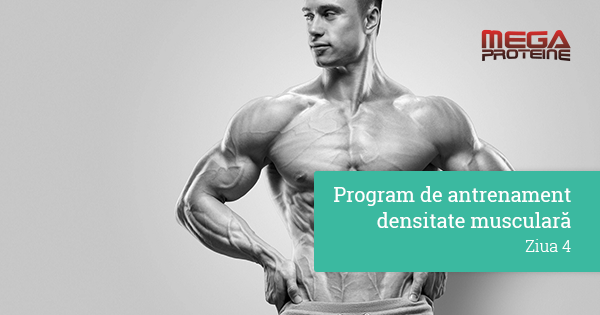 Program de antrenament de densitate musculara - Ziua 4