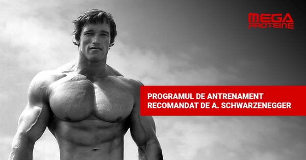 Programul de antrenament recomandat de Arnold Schwarzenegger pentru incepatori