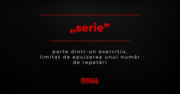 Ce inseamna „serie” | Definitie „serie” | Dictionar de culturism