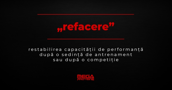 Ce inseamna „refacere” | Definitie „refacere” | Dictionar de culturism