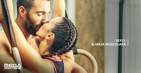 Sexul & masa musculara