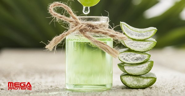 Aloe vera si top 6 al celor mai frecvente utilizari