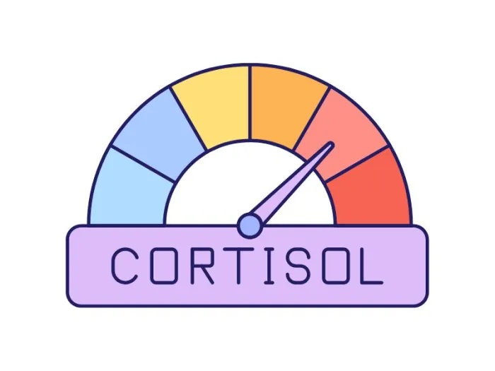 Cortizol marit: simptome, cauze si cele mai eficiente suplimente pentru reducerea stresului