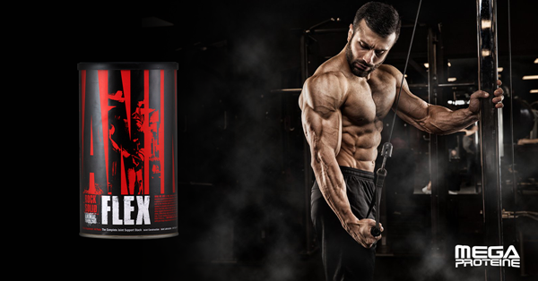 Animal Flex - Cel mai bun supliment pentru ligamente si cartilaje