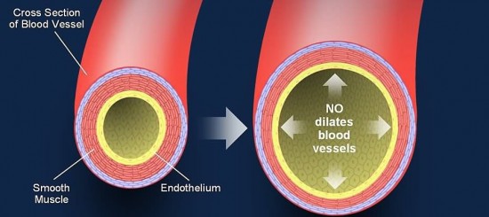 Beneficiile consumului de L-arginina in cazul culturistilor