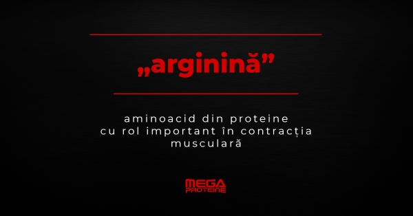 Ce inseamna „arginina” | Definitie „arginina” | Dictionar de culturism