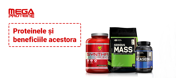 Proteinele si beneficiile acestora