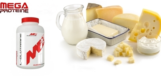 Rolul glutaminei in organism