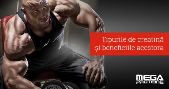 Tipurile de creatina si beneficiile acestora