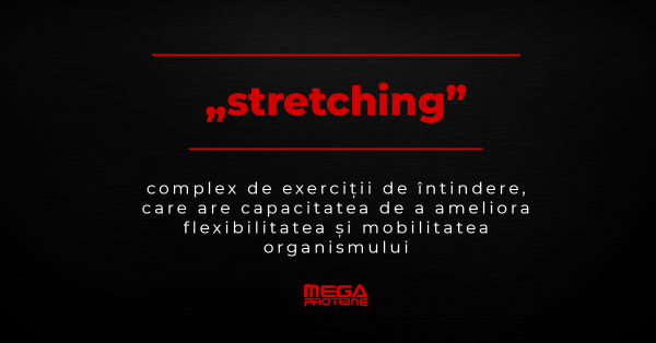 Ce inseamna „stretching” | Definitie „stretching” | Dictionar de culturism