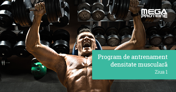 Program de antrenament de densitate musculara - Ziua 1