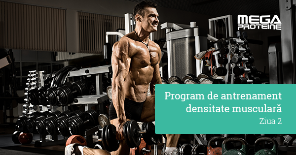 Program de antrenament de densitate musculara - Ziua 2