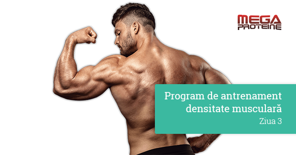 Program de antrenament de densitate musculara - Ziua 3