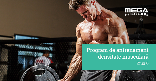 Program de antrenament de densitate musculara - Ziua 6