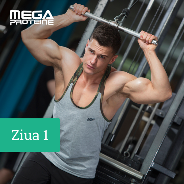 Ziua 1 - Pectorali/ Triceps
