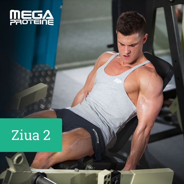 Ziua 2 - Coapse/ Gambe/ Abdomen