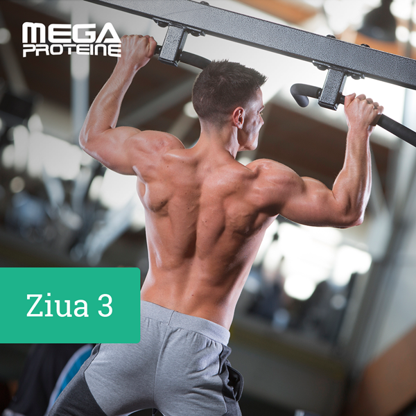 Ziua 3 - Dorsali/ Biceps