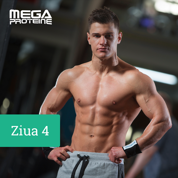 Ziua 4 - Deltoizi/ Trapez/ Abdomen