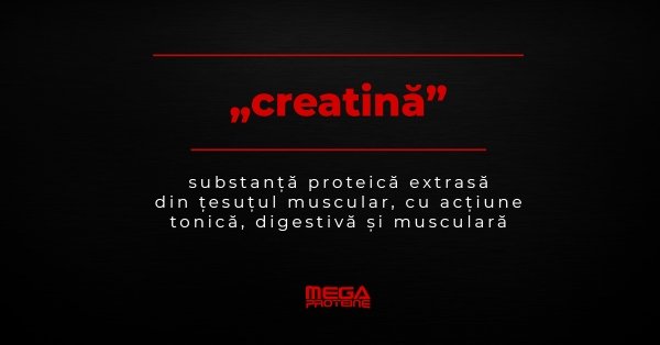 Ce inseamna „creatina” | Definitie „creatina” | Dictionar de culturism