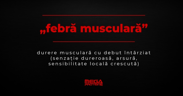 Ce inseamna „febra musculara” [DOMS] | Definitie „febra musculara” | Dictionar de culturism