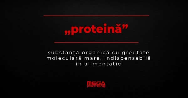 Ce inseamna „proteina” | Definitie „proteina” | Dictionar de culturism