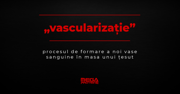 Ce inseamna „vascularizatie” | Definitie „vascularizatie” | Dictionar de culturism