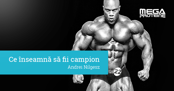 Ce inseamna sa fii campion