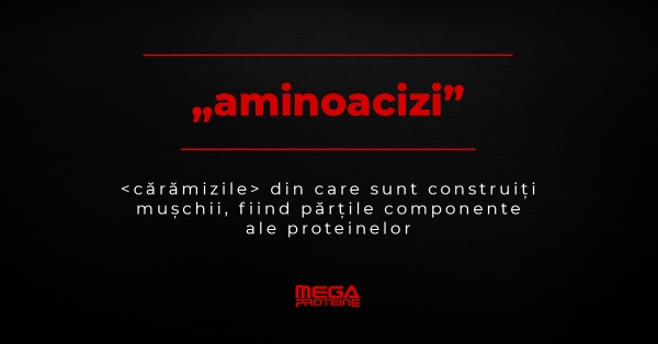 Aminoacizii - Caramizile cresterii musculare