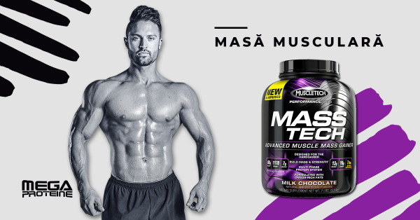 Avantajale consumului de proteina pentru masa musculara MASS-TECH