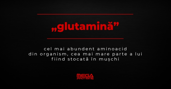Glutamina: definitie si beneficii | Dictionar de culturism